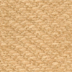 Greatscott/Apricot