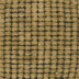 Pavia/Brown